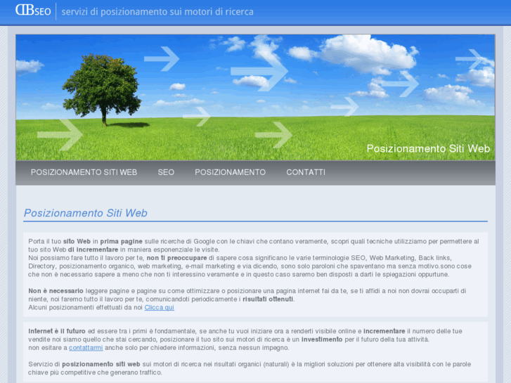 www.seoposizionamentositiweb.it