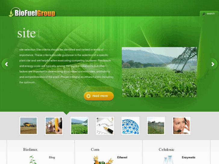 www.biofuelgroup.com