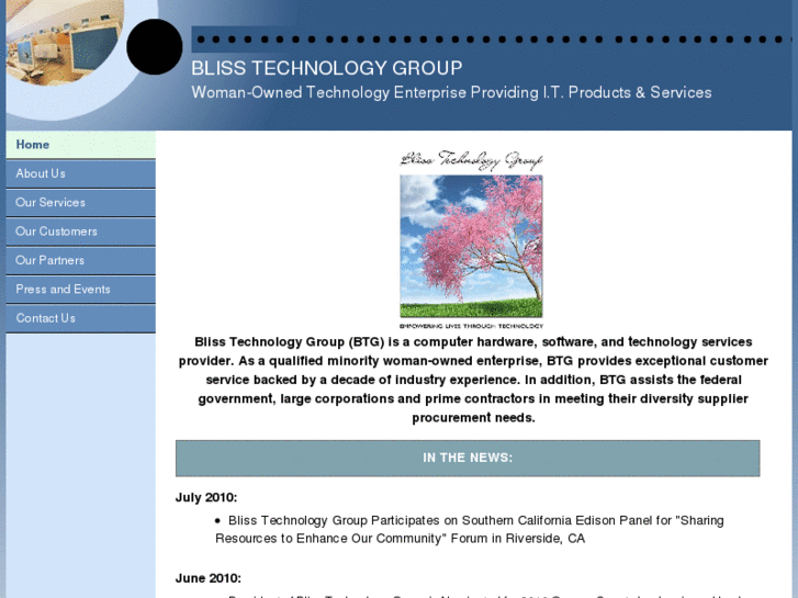 www.blisstechnologygroup.com