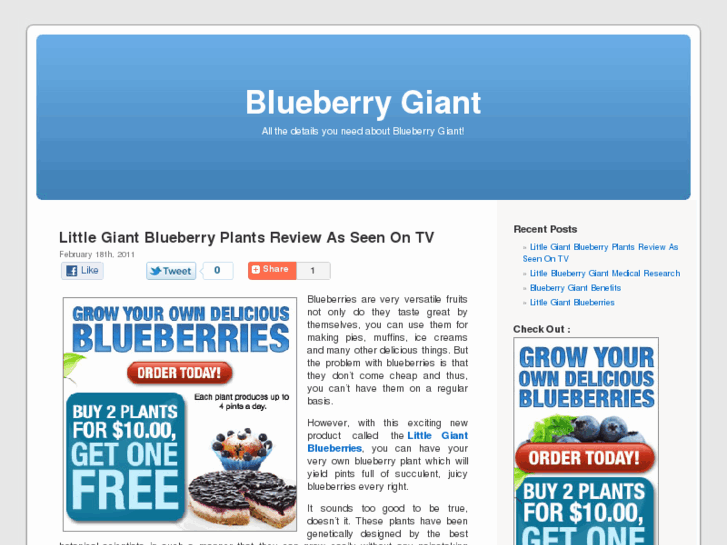 www.blueberrygiant.net