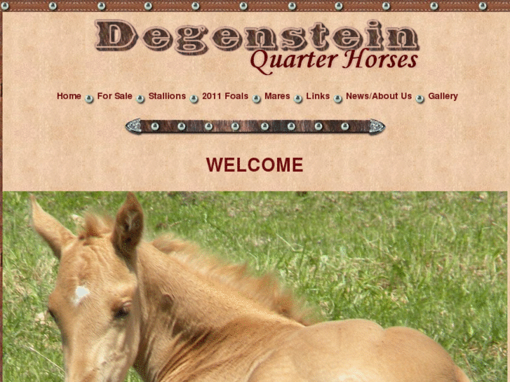 www.degensteinquarterhorses.com