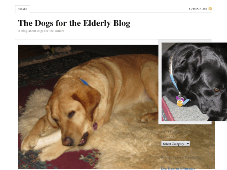 www.dogsfortheelderly.com