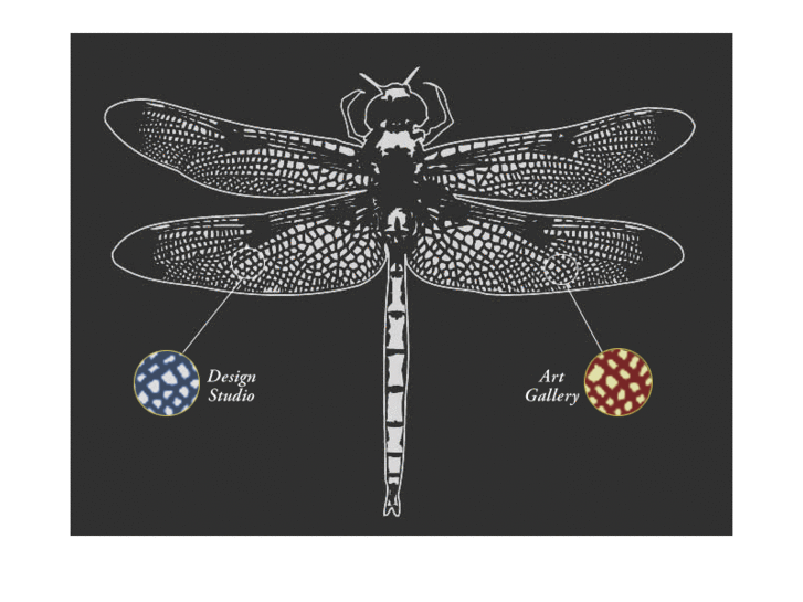 www.dragonflysf.com