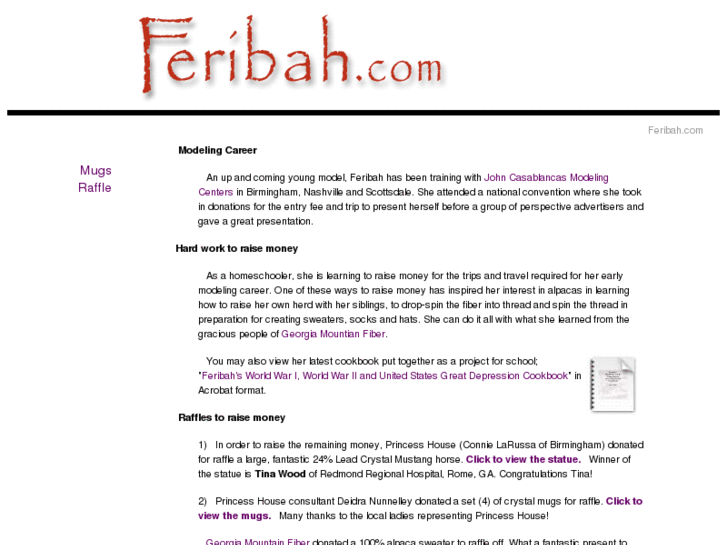 www.feribah.com