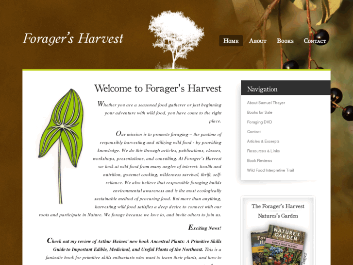 www.foragersharvest.com