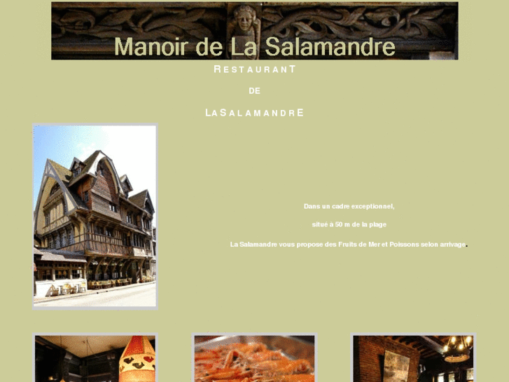 www.manoirdelasalamandreetretat.com