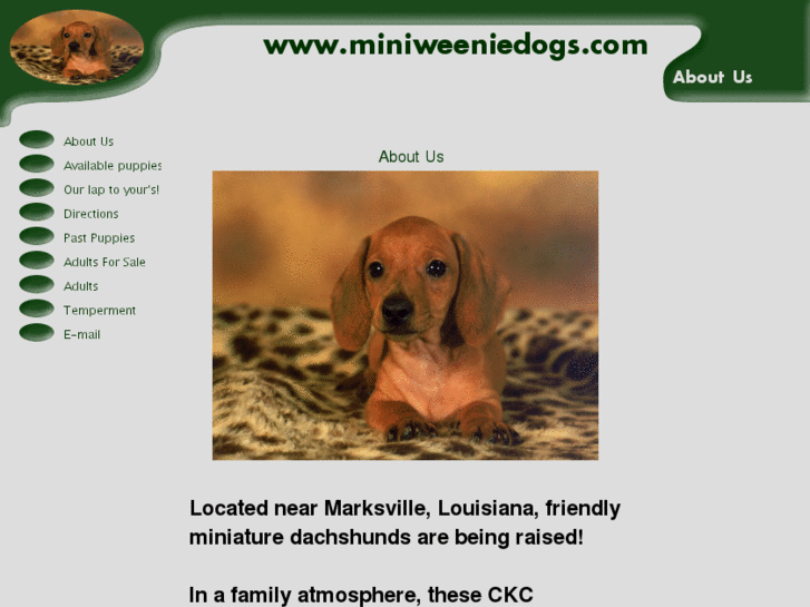 www.miniweeniedogs.com