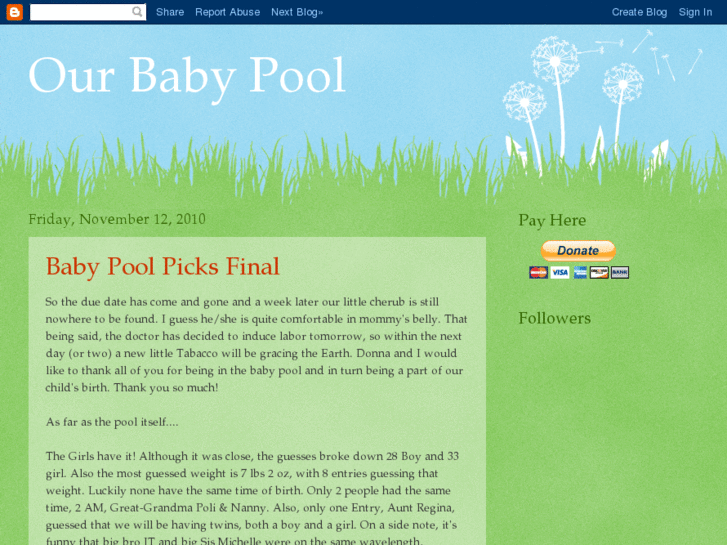 www.ourbabypool.com