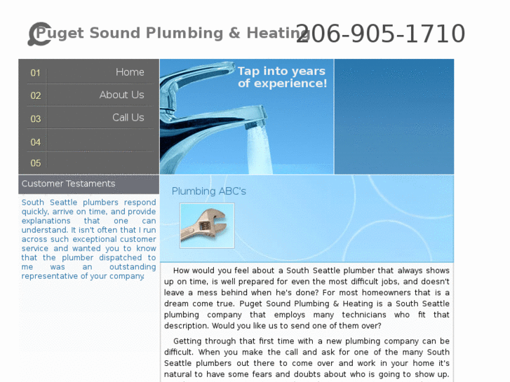 www.plumbingsouthseattle.com