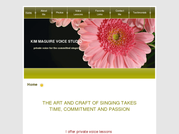 www.voicestudy.org