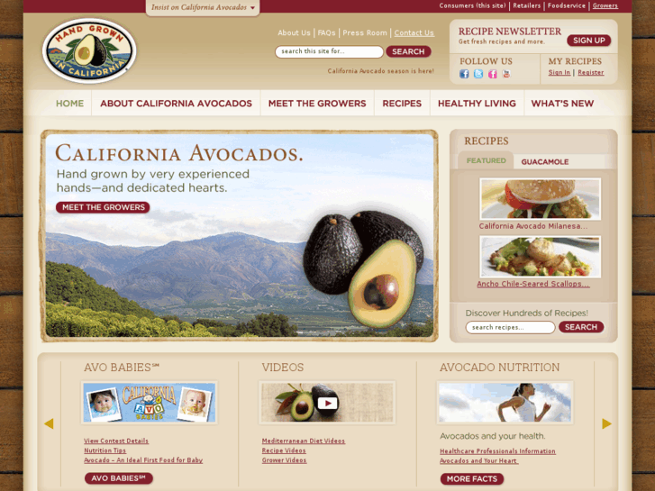 www.avocado.org