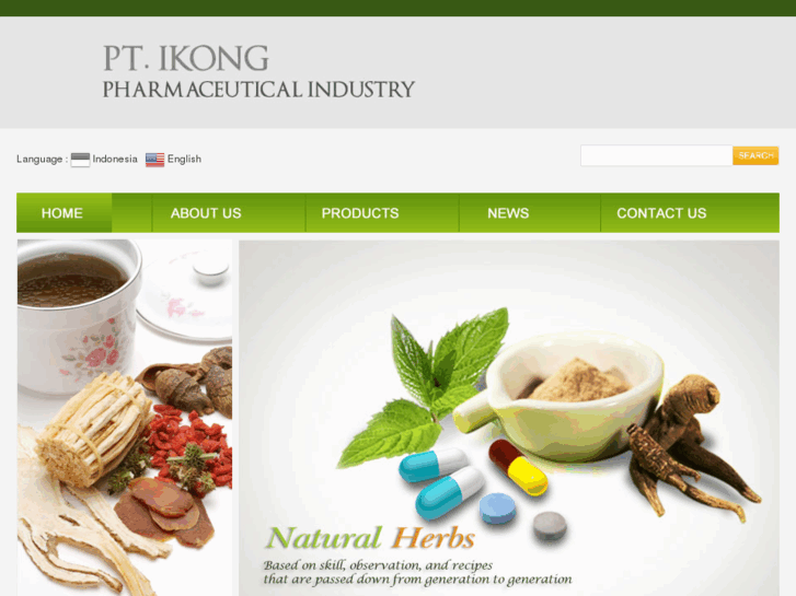 www.ikongpharma.net