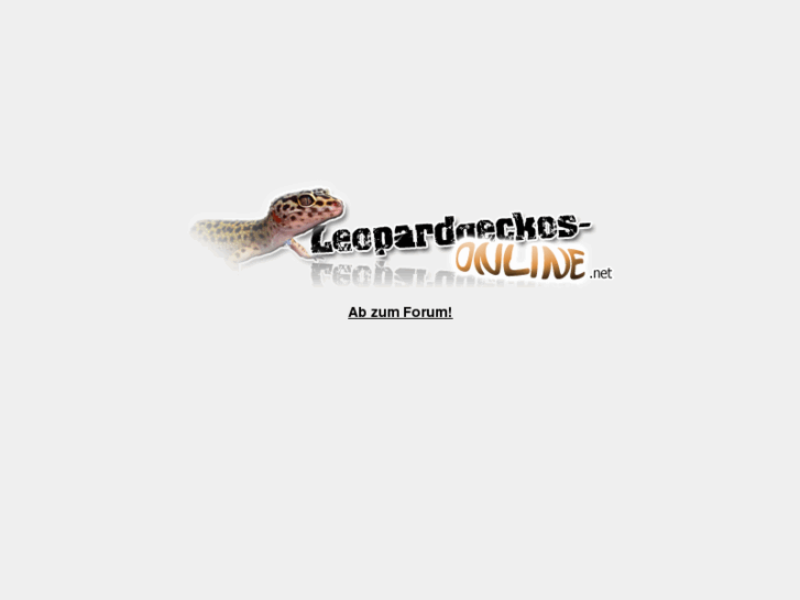 www.leopardgeckos-online.net