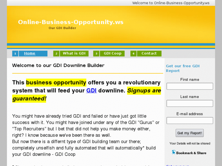 www.online-business-opportunity.ws