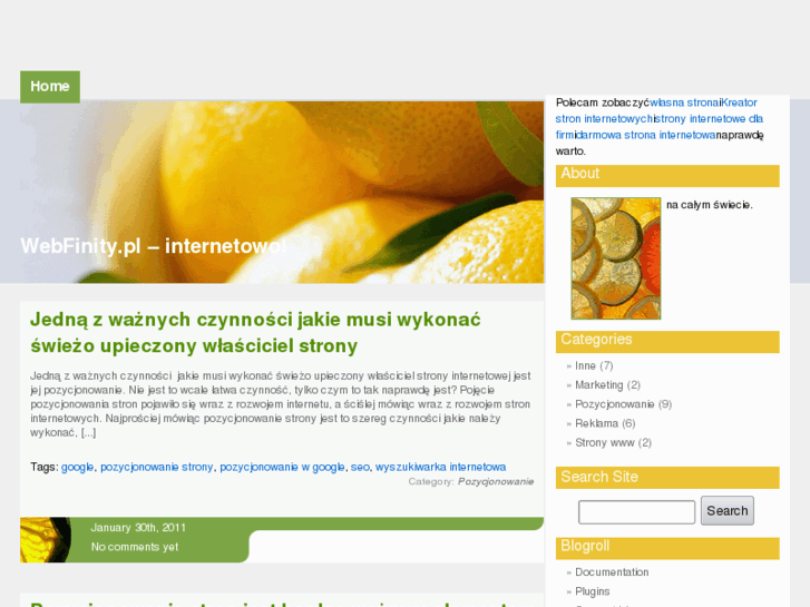 www.webinfinity.pl