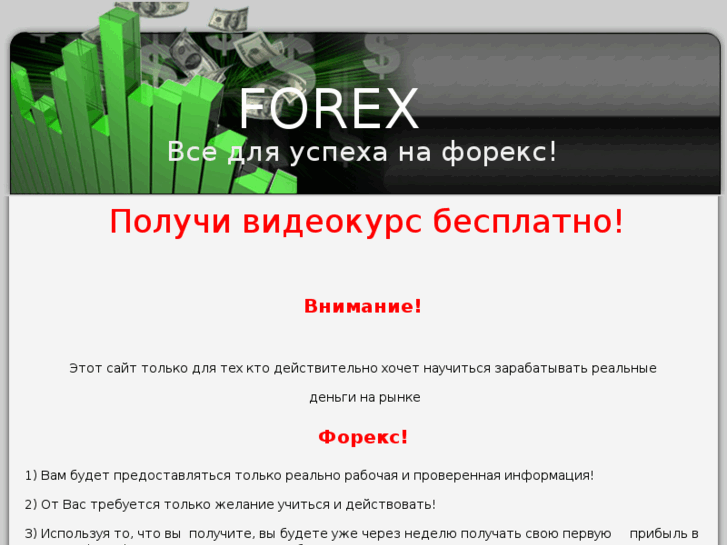 www.forex-videokurs.com