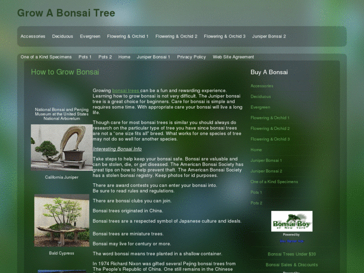 www.growing-a-bonsai.com