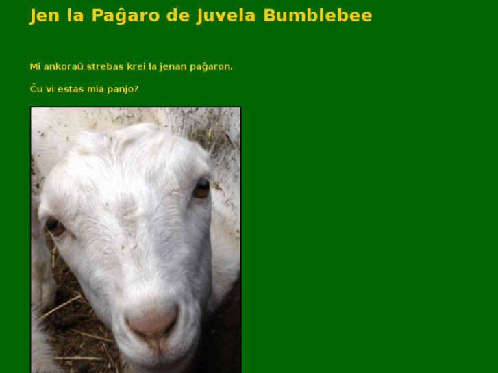 www.juvelabumblebee.org