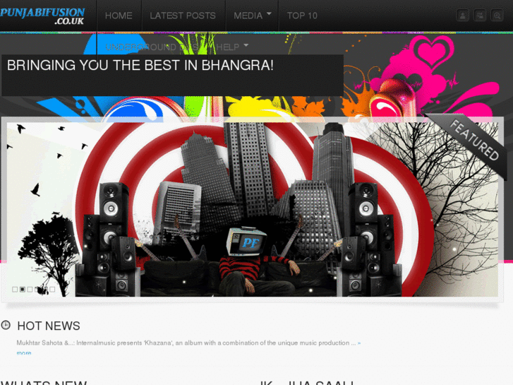 www.punjabifusion.co.uk