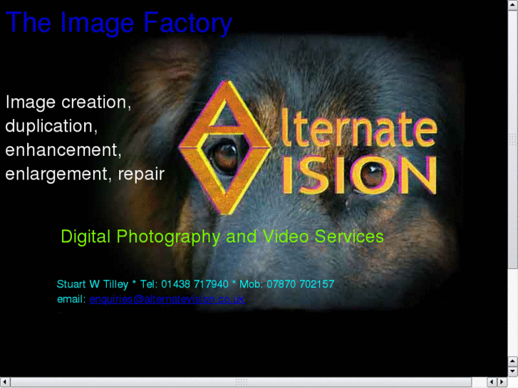 www.alternatevision.co.uk