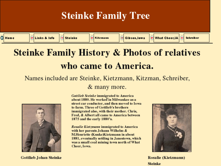 www.steinkefamilytree.org