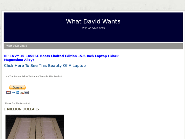 www.whatdavidwants.com