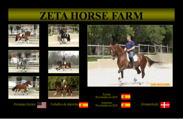 www.zetahorse.com