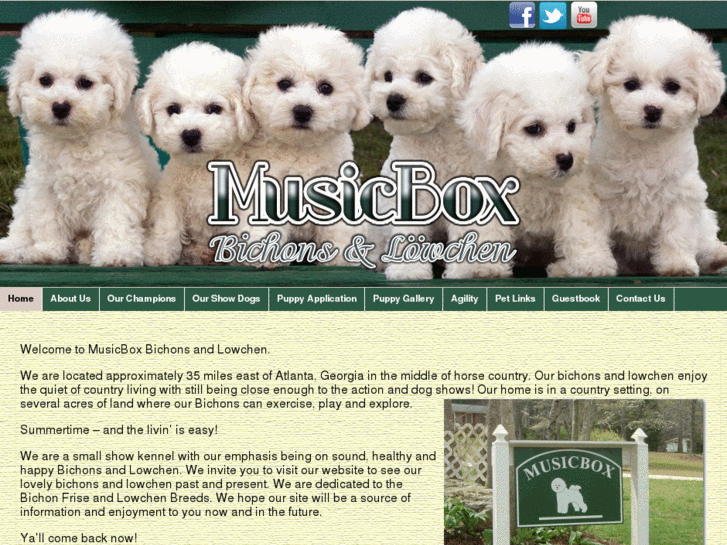 www.musicboxbichons.com