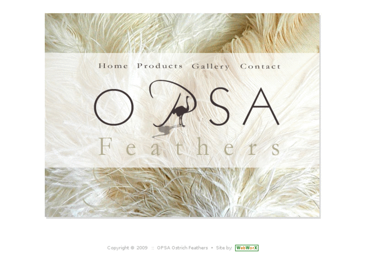 www.ostrichfeathers.co.za