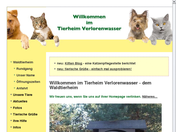 www.tierheim-verlorenwasser.de