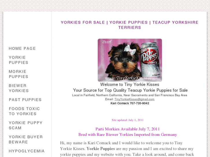 www.tinyyorkiekisses.com