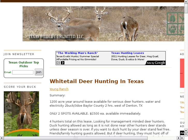 www.txwhitetailhunting.com