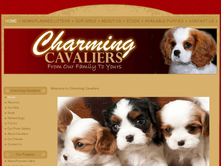 www.charmingcavaliers.com