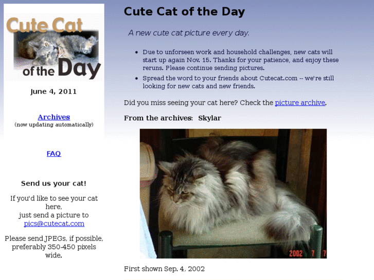 www.cutecat.com