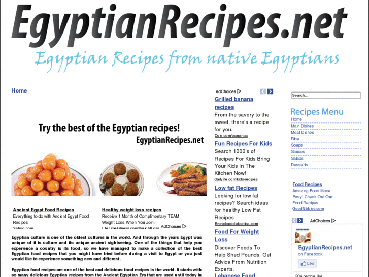 www.egyptianrecipes.net