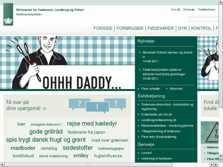 www.fvst.dk
