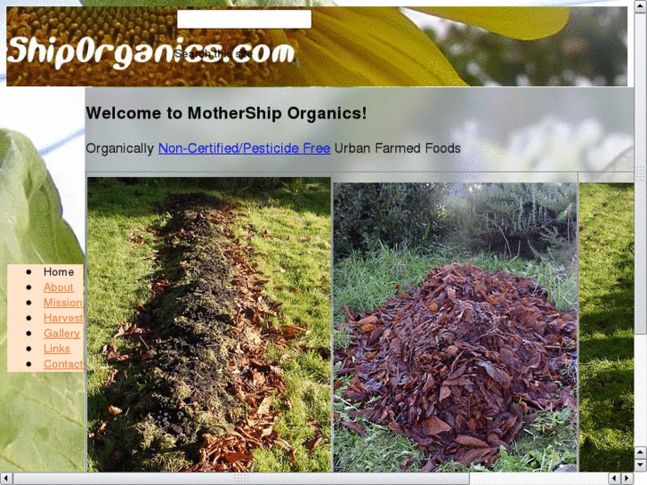 www.mothershiporganics.com