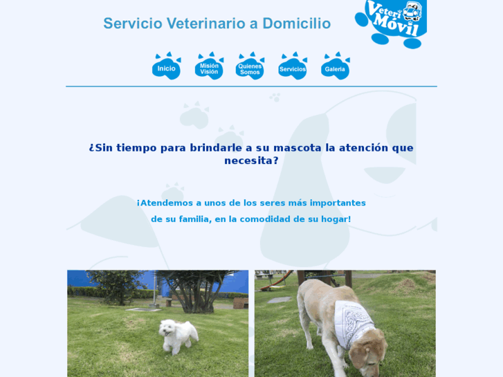 www.veterimovil.com