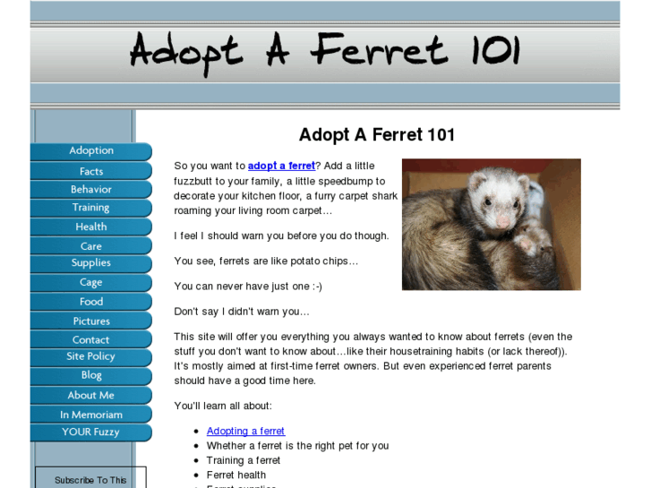 www.adopt-a-ferret-101.com