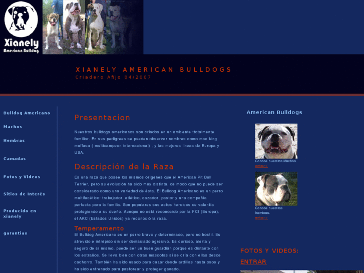 www.americanbulldogsxianely.es