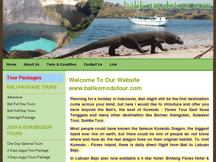 www.balikomodotour.com