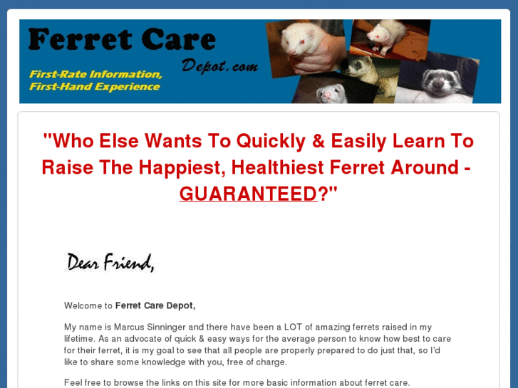 www.ferretcaredepot.com