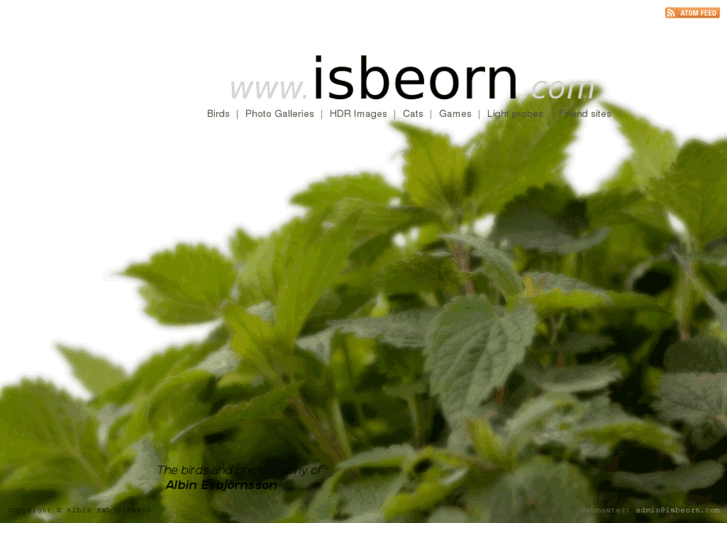 www.isbeorn.com