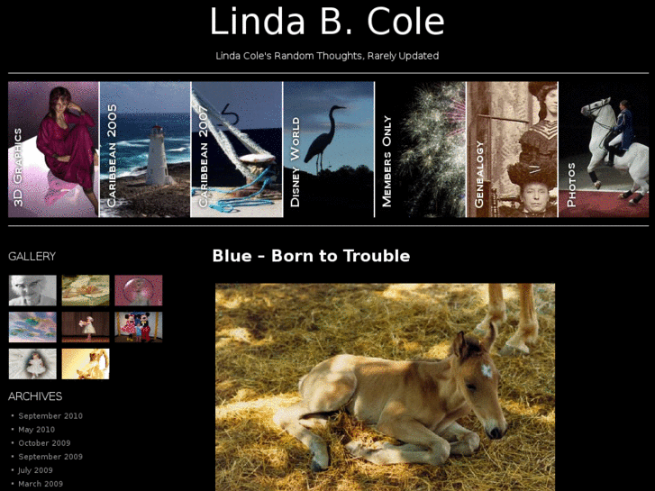 www.lindabcole.com