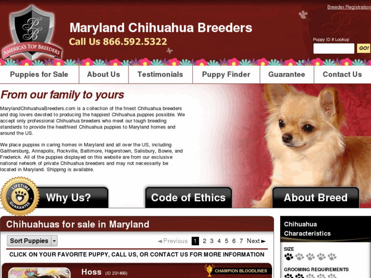 www.marylandchihuahuabreeders.com