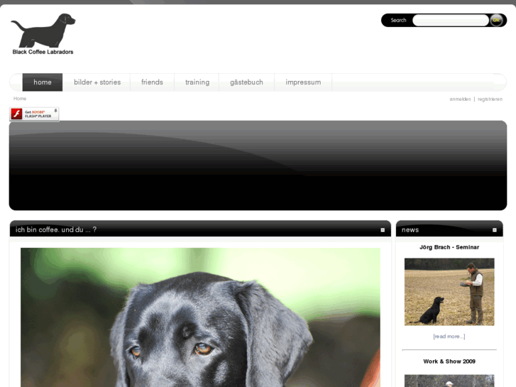 www.black-coffee-labradors.com