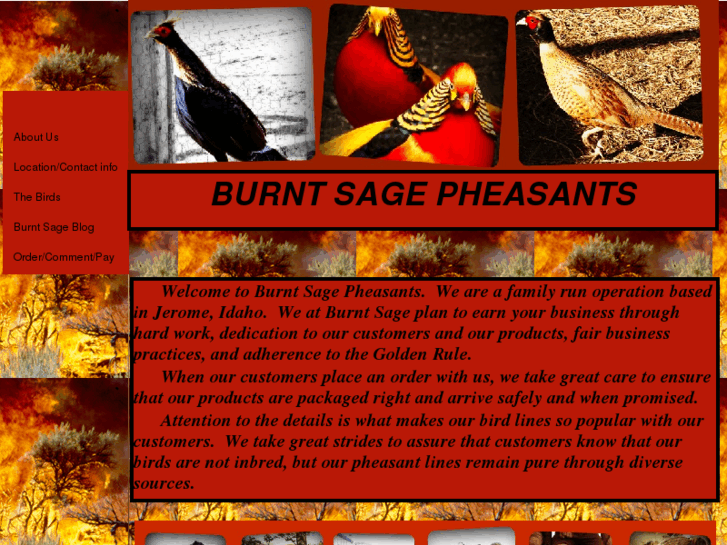 www.burntsagepheasants.com