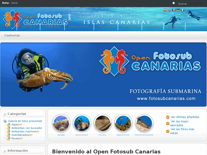 www.canariasbuceo.com