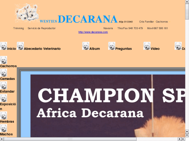 www.decarana.com