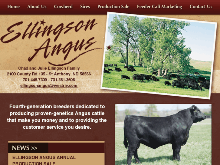 www.ellingsonangus.com